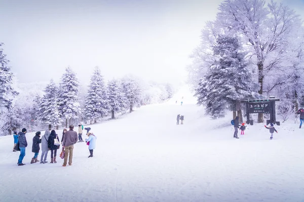 Yamagata Japão Dezembro 2019 Pessoas Estão Viajando Para Encosta Esqui — Fotografia de Stock