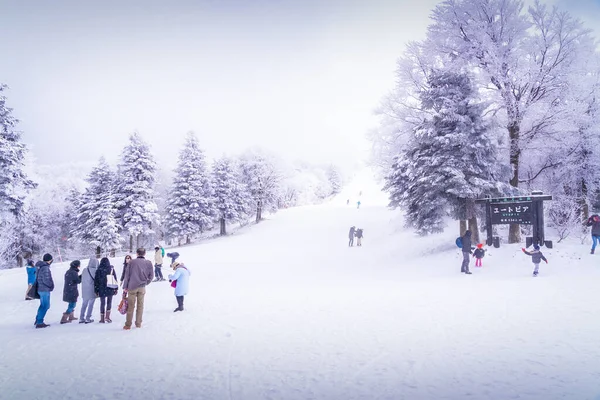 Yamagata Japonia Dec 2019 Ludzie Podróżują Stok Narciarski Utopia Skii — Zdjęcie stockowe