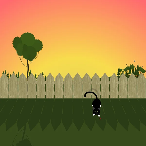 Paysage d'été. illustration d'une clôture, d'un chat et d'une coccinelle sur fond de coucher de soleil — Image vectorielle