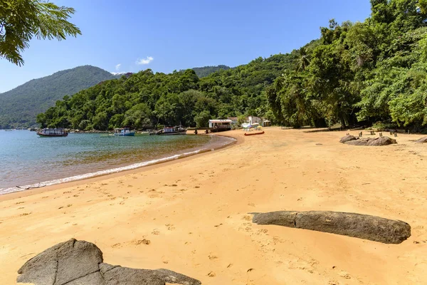 Vista sulla spiaggia e l'incontro tra mare e foresta pluviale — Foto Stock