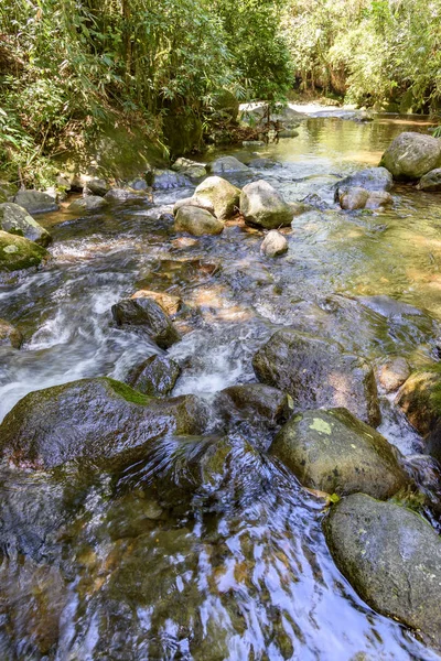 River between the rainforest — Stock Photo, Image