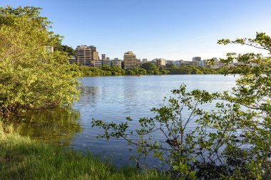 Rodrigo de freitas lagün rio de janeiro