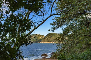 Yağmur ormanları ile görülen deniz