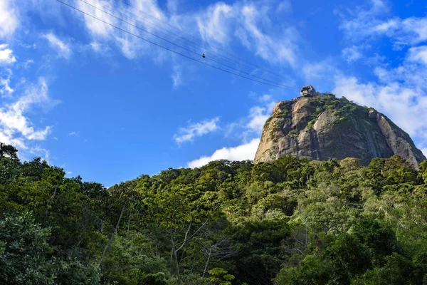 Sugar Loaf tepe tropikal orman üzerinde — Stok fotoğraf