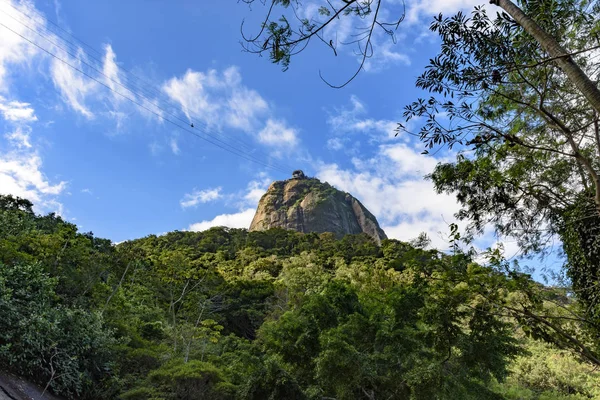 Pain de sucre colline sur la forêt tropicale — Photo