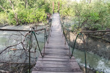 Köprünün altın mangroves değil