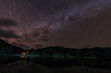 Ağaçların altında bir gece çevrili kamp barınak ışımalar gökyüzü tam yıldız