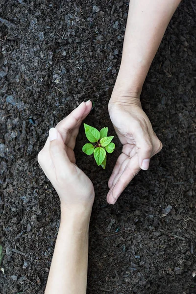 Close Two Hands Holding Black Soil Earth Day Hands Team — Stock Photo, Image