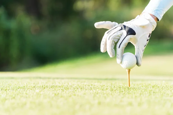 Asiatisk Kvinna Att Sätta Golfboll Tee Med Golfklubb Solig Dag — Stockfoto