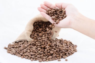 Kahve çekirdekleri bir palm üzerinde. Birçok kahve çekirdekleri yandan. Kahve çekirdekleri ile el. Kavrulmuş kahve. Kahve lütfen. Barista. Dağınık kahve çekirdekleri. Seçili kahve çekirdekleri.