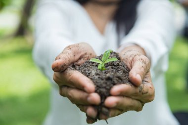 yeşil bitki yeşil ışık adam üzerinde tutan el