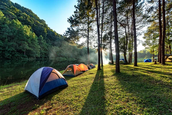 Kamp, kamp maceraları ve çadır altında su sabah ve günbatımında Pang-ung, çam ormanı Parkı, Mae Hong Son, Kuzey Tayland, orman arka plan açık çam ormanı. Kavram seyahat