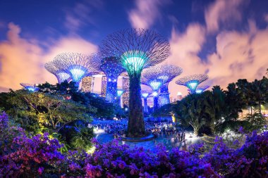 seyahat, Supertree Bahçe geceleri, Bahçe Bay, Singapore, Singapur-Temmuz 29 tarafından 2017: Super ağaç görünümünü gece Grove Gardens Körfez, seyahat