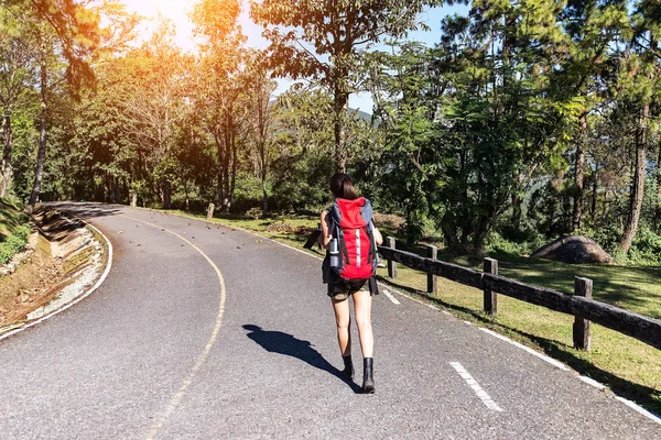 美丽的女子徒步旅行站在森林小径上 看着远处 女性与背包在自然远足 徒步旅行妇女看望远镜在路在佛瑞斯 — 图库照片