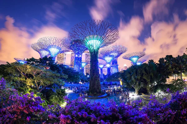 Podróże Ogród Supertree Nocy Ogród Przez Bay Singapur Singapur Lipca — Zdjęcie stockowe