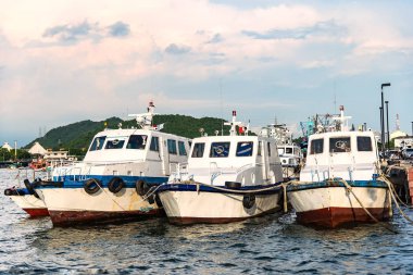 Renkli balıkçı filosu Bermeo limanında