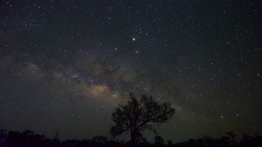 Tayland Chiang Mai province, Doi Luang Chiang Dao geceleri doğal arka plan yıldızlı gökyüzü ve Samanyolu. Uzun pozlama çekim ve kullanılan yüksek ISO gürültü var bu fotoğraf yapmak 