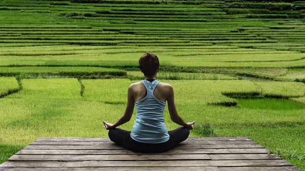 Genç kadın pratik yoga sırasında lüks yoga merkezine Asya, Bali, meditasyon, gevşeme, uyum, aydınlatıcı, yeşil çim orman arka plan, Terraced pirinç alan Vietnam'da pirinç sezonunda elde