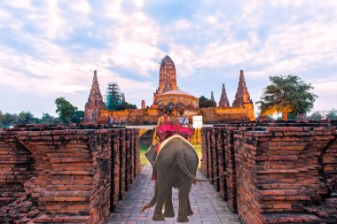 Antik kentin Ayutaya, Tayland tur turistlere bir fil binmek.