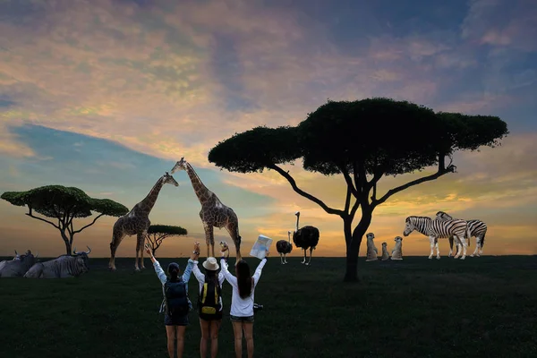 Silhouette of African safari scene with animals and the tourist