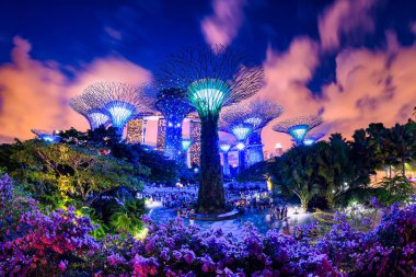 Singapur - 29 Temmuz 2017: Singapur Marina Körfezi 'nde Supertree Grove. Supertree Korusu, körfez yakınlarındaki Gardens 'ın geniş bir yerleşkesinde yer almaktadır..