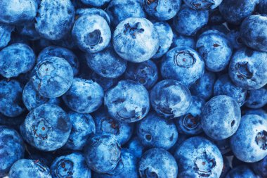 Bilberry arka plan texturenature. Üstten Görünüm