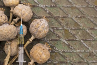 Uyuşturucu haşhaş şırınga içinde. Ölümcül uyuşturucu bağımlılığı