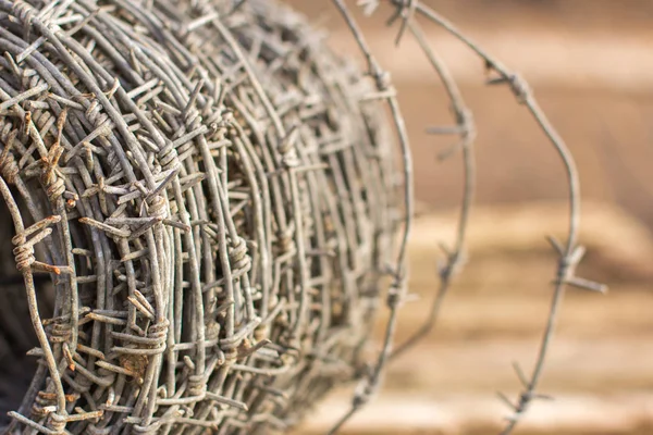 Alambre de espino. Restricción de la libertad o la protección —  Fotos de Stock