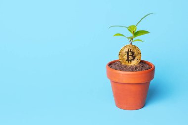 Bitki büyümesini bitcoin Kripto para biriminde bir sembolü olarak Filiz