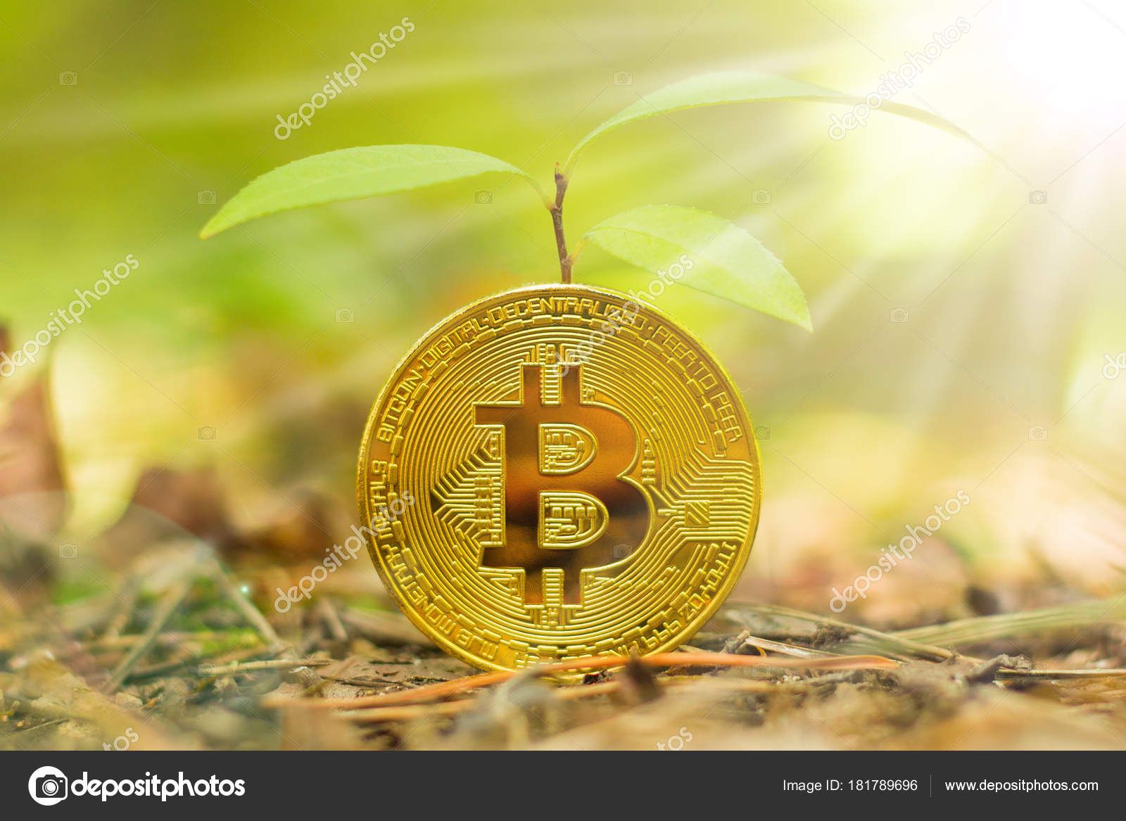 where can i buy sprouts cryptocurrency