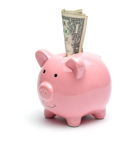 Розовый голубь банк и долларовая купюра изолированы на белом фоне — стоковое фото