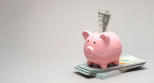 Pink piggy banco e conta dólar em um fundo cinza. Copiar espaço para texto. — Fotografia de Stock