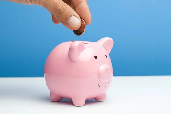 Banco y moneda peluche de color rosa en una mano masculina en un fondo azul. — Foto de Stock