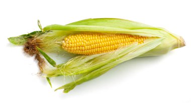 Beyaz arkaplanda izole edilmiş yapraklarda mısır.