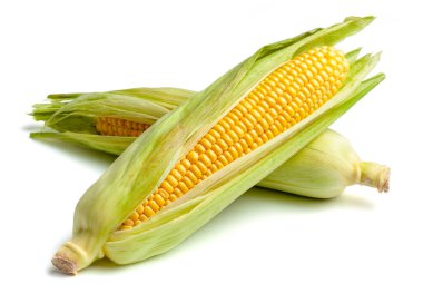 Beyaz arkaplanda izole edilmiş yapraklarda mısır.