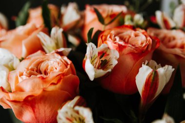 Siyah arka planda beyaz frezya tarzında beyaz frezya ile mercan renginde şakayık güllerinden oluşan büyük bir buket. karanlık aşk