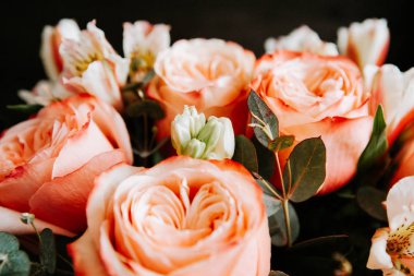 Siyah arka planda beyaz frezya tarzında beyaz frezya ile mercan renginde şakayık güllerinden oluşan büyük bir buket. karanlık aşk