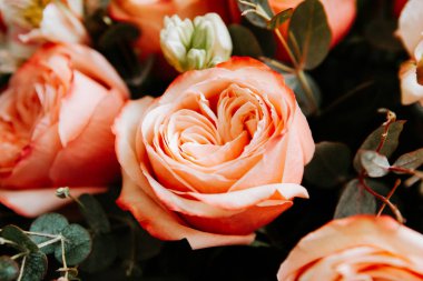 Siyah arka planda beyaz frezya tarzında beyaz frezya ile mercan renginde şakayık güllerinden oluşan büyük bir buket. karanlık aşk