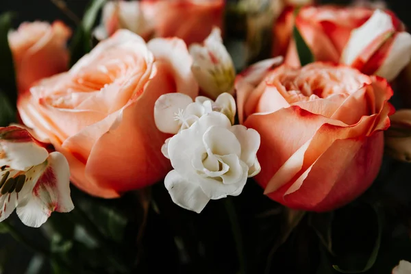 large luxurious bouquet of peony roses of coral color with white freesia in noir style on a dark background. dark romance