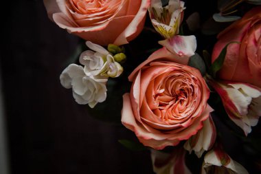 Karanlık bir ahşap arka planda Sevgililer Günü için harika pembe güller.