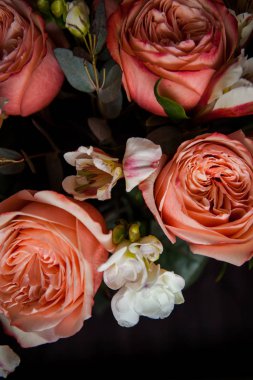 Karanlık bir ahşap arka planda Sevgililer Günü için harika pembe güller.