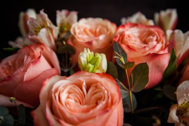 Karanlık bir ahşap arka planda Sevgililer Günü için harika pembe güller.