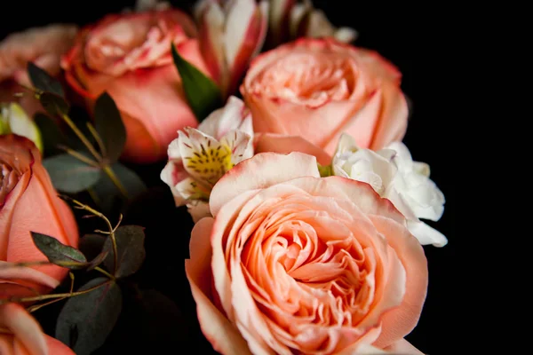 深色的豪华玫瑰花束 为情人节在黑暗的树林背景华丽的粉红色的玫瑰 — 图库照片