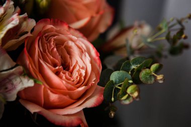 Karanlık bir ahşap arka planda Sevgililer Günü için harika pembe güller.