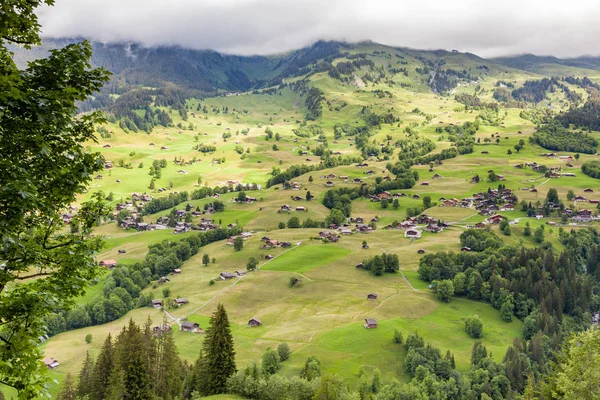 aerial view of landscape with mountain village in summer time, Grindelwald, Switzerland