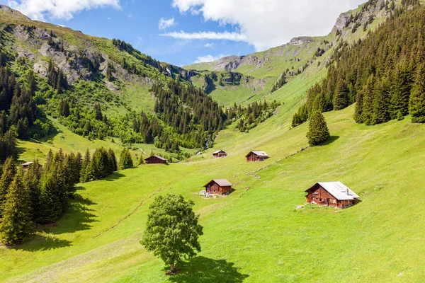 Bellissimo paesaggio montano con casa in legno in estate, Grindelwald, Svizzera — Foto Stock
