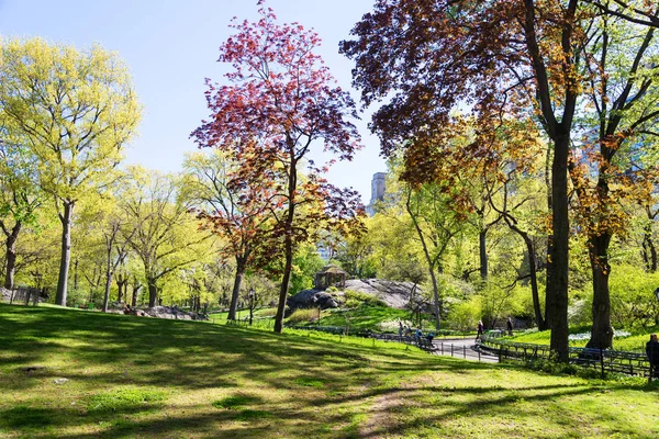 Paisaje primaveral en el Parque Central, Nueva York, Estados Unidos —  Fotos de Stock