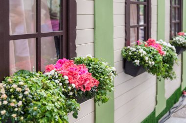 tencerede rengârenk çiçeklerle süslenmiş ahşap ev