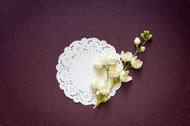 çiçekli Yasemin mor degrade arka plan üzerinde Şubesi