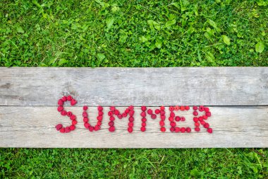 kelime üzerinde ahşap Ahududu ve çim arka plan yapılmış yaz